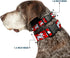 Buckle-Down Plastic Clip Collar, Dalmatians Running/Paws, 1" Wide, Fits 11-17" Neck, Medium