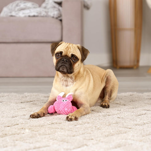 goDog Checkers Just for Me Flying Pig Squeaky Plush Dog Toy with Chew Guard Technology, Durable Fabric & Squeaker