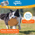 Pets Know Best SquWhirl Interactive Frisbee Dog Toy, Whirling Whistling Outdoor Frisbee for Fetch