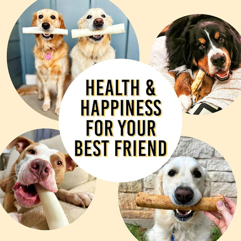 Fidelis Collagen Chews Sticks for Dogs - Natural Healthy Chew, Supports Joint Health & Dental Care, Made in USA (4 Pack)