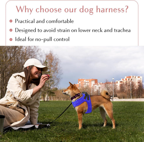 Comfort Fit No Pull Dog Harness, Adjustable Step-in Vest for Small, Medium & Large Dogs with Reflective Straps