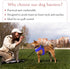 Comfort Fit No Pull Dog Harness, Adjustable Step-in Vest for Small, Medium & Large Dogs with Reflective Straps