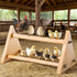 Rliguanrui -size13 5.9" 6.5" Chicken Perch for Coop L x W x H- Heavy Duty Poultry Roosting Bar with Natural Pine