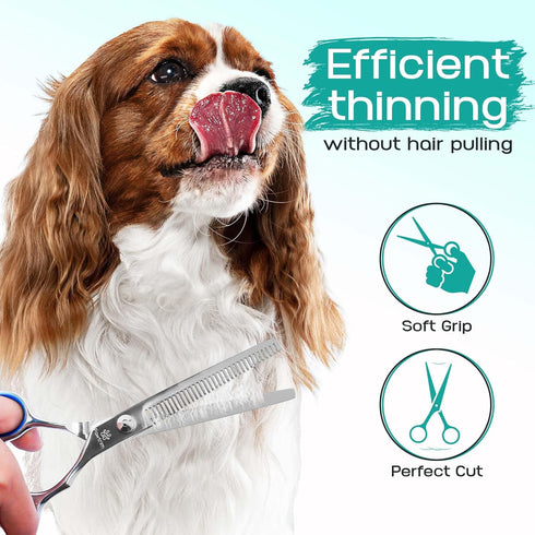 Pawtrim 6 1 4CR Professional Pet Grooming Kit in Dog Grooming Scissors Kit - Dog & Cat Grooming Supplies - Adjustable