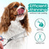 Pawtrim 6 1 4CR Professional Pet Grooming Kit in Dog Grooming Scissors Kit - Dog & Cat Grooming Supplies - Adjustable