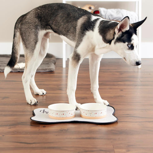 Bone Dry Ceramic Food & Water Bowls for Pets, Non-Slip for Less Messy Feeding, Microwave & Dishwasher Safe