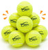 Dog Tennis Balls - 12 Pack Squeaky Interactive Toys for Training, Indoor Outdoor Play, 2.5" Rubber Balls for All Sizes