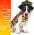 Skeleteen Mexican Serape Dog Costume, Cinco de Mayo Poncho and Sombrero Costumes for Pets (Size L) for Small Breeds