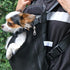 Mr. Pen Adjustable Pet Dog Carrier Backpacks - Hiking Travel Backpack for Dogs, Puppy Front Carrier