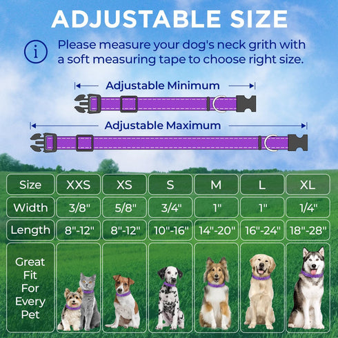 TECEUM Reflective Purple Pet Collar, L, Extra Soft Padding, Basic Nylon Dog Collar with Quick Release Buckle