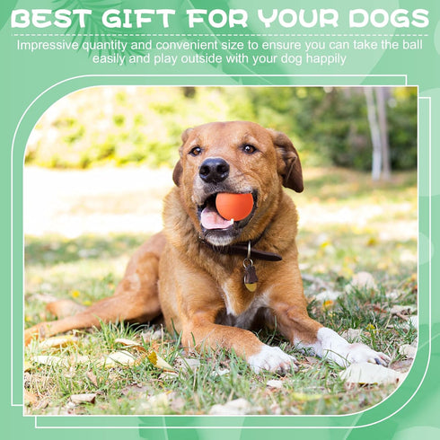 12 Pieces Colorful Rubber Dog Balls Tennis Balls for Fetch Training, 2.4 Inch Interactive Bounce and Floatable
