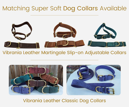 Blazing Paws Vibrania 6 Ft Super Soft Braided Leather Dog Leash, Heavy Duty with Side Ring, Teal Green Blue