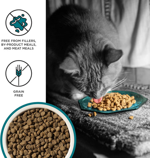 BIXBI Liberty Dry Food Indoor Cat Health Chicken & Salmon Recipe, 3lb