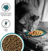 BIXBI Liberty Dry Food Indoor Cat Health Chicken & Salmon Recipe, 3lb