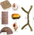 8PCS Hammock, Hermit Crab Accessories Natural Hermit Crab Shells, Coconut Hideout, Climbing Toys Moss, Plants & Water