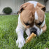 Pupford Yak Cheese Himalayan Dog Chews | Durable & Long-Lasting Chews for Aggressive Chewers