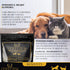 Heart Supplement for Dogs and Cats - Optimizes Heart Function & Circulation, 200g Easy to Mix Powder