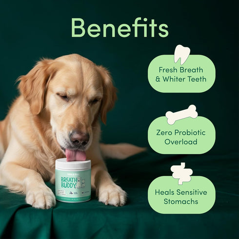 Fifth & Fido Breath Buddy Dog Dental Powder for Teeth Cleaning Cat & Dog Breath Freshener, Helps Remove Plaque