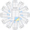 Resholder 360 Sets 12 Pack Baseball Softball Lineup Cards 4 Part Carbonless Copies