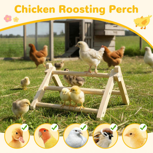 11.02" 9.84" 6.10" Innoland Chick Perch Foldable, Perch for Chicks Stable & No Assemble, Chick Roosting Perch for Stand