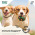 Echinacea for Dogs - Immune Supplement for All Breeds & Sizes - Immunity Support w/Echinacea Herb - Liquid Dog Vitamins and Supplements for Pets - 4 oz