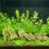 Tfwadmx 4 Pcs Aquarium Resin Driftwood Decoration, Fish Tank Cave Hideout Wood Decor