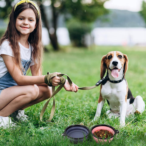 Dog Bowl Pet Collapsible Bowls, 2 Pack, Portable Water Bowls for Cats & Dogs, Travel-Friendly with 2 Carabiners
