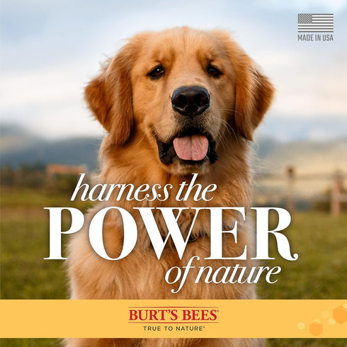 Burt's Bees for Pets Detangling Spray with Lemon and Linseed, 10 oz - Dog and Puppy Fur Detangler, 6 Pack