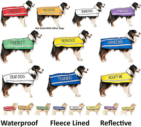 Color Coded Dog Accident Prevention Leash 4ft/1.2m, Caution Dexil Friendly Dog Collars