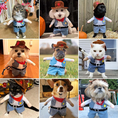 Funny Pet Cat Halloween Costume, Cool West Cowboy Uniform with Hat for Small Dogs & Cats