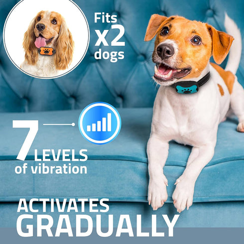 Rechargeable Anti Bark Collar - No Shock Training Dog Collar for Small Medium Large Dogs, 2 Pack Blue Orange