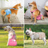 Idepet 3 Pack Female Dog Diapers with Suspender Detachable, Washable Reusable Girl Doggie Diapers for Small Medium