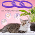 Wustentre 3 Pack Adjustable Anxiety Collar, Cat Calming Pheromones for Cats & Kittens, Relaxing Comfortable Collar