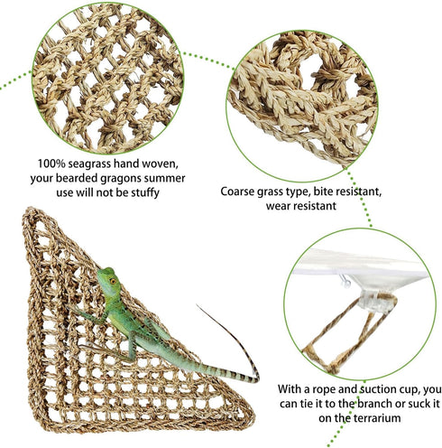 kathson Bearded Dragon Hammock, Natural Seagrass Reptile Lounger Decor, 2 PCS (11 x 7.8 x 7.8 inches)