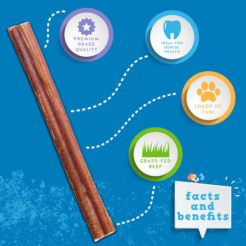 Jack&Pup Premium Thin Dog Bully Sticks - 6 inch Bully Sticks for Dogs, (10 Pack) - Odor Free Beef Chews for Small Dogs