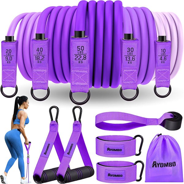 Resistance Bands with Handles, Exercise Bands for Women, Workout Equipment for Home Gym, Training Bands with Door Anchor