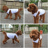 2018 Pet Clothes Dog Clothing Blank T-shirt Tanks Top Vests for Dogs - 100% Cotton Summer Vest (XL, White)