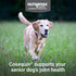 Omega-3s Immune 60 Count Nutramax Cosequin for Senior Dogs Joint Health Supplement, Contains Glucosamine for Dogs