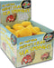 Hermit Crab Sponge