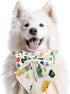St. Patrick's Day Dog Collar with Bow Tie, Irish Shamrock Clover Collar for Small Medium Large Pets, Medium Size