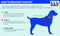 NFL Dallas Cowboys T-Shirt for Dogs & Cats - Small Football Dog Shirt, Updated Fashionable Stripe Design for NFL Fans