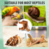 BrightRow Hermit Crab Climbing Wall Foraging Cave Hermit Crab Accessories Climbing Toy Viewing Moist Hideaway Tank