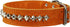 Thick Genuine Leather Spiked Studded Dog Collar - Brown, Fits 18"-22" Neck for Retriever, Doberman, Rottweiler, Pitbull