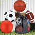 4 Set Lenwen Pcs Sports Balls for Teen Adult, Include Official Size Basketball Soccer Football Playground Ball Pump