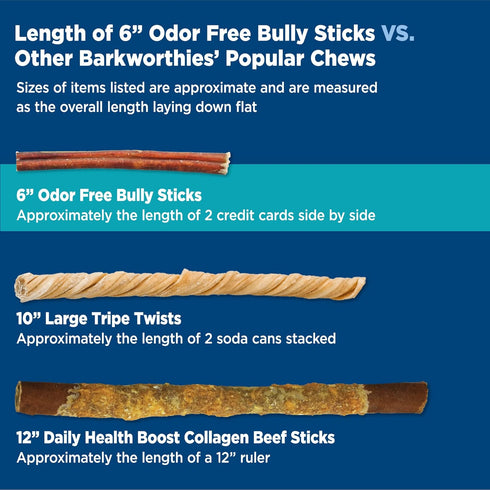 Barkworthies Odor-Free 6 Inch Bully Sticks - 5 Count (Pack of 1) - All-Natural Rawhide Alternative, Promotes Dental
