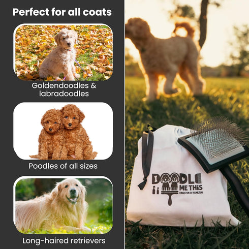 Large Black Slicker Dog Brush - Effortless Detangling for Your Pet