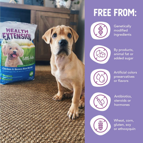 Health Extension Little Bites Dry Dog Food, Natural with Added Vitamins & Minerals, Chicken & Brown Rice Recipe, 10