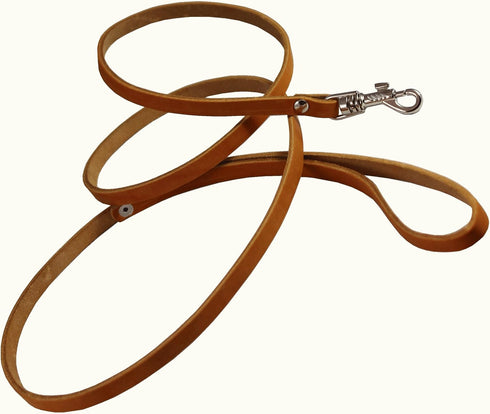 Genuine Leather Classic Dog Leash, 4' Long, 3/8" Wide, Puppies, XSmall Breeds