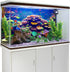 AWERT Undersea Theme Aquarium Background, 36x18 Inches Colorful Coral Tropical Fish Polyester Background
