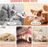 BUYPOW 5 Pack No Stuffing Dog Toys for Large Dogs, Squeaky Crinkle Interactive Dog Animals, Plush Teething Toys to Keep